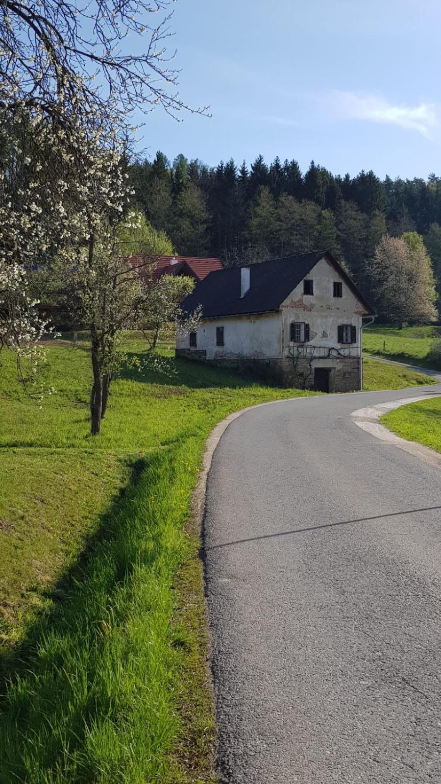 Presshaus Alte Muehle Stainz Exterior foto